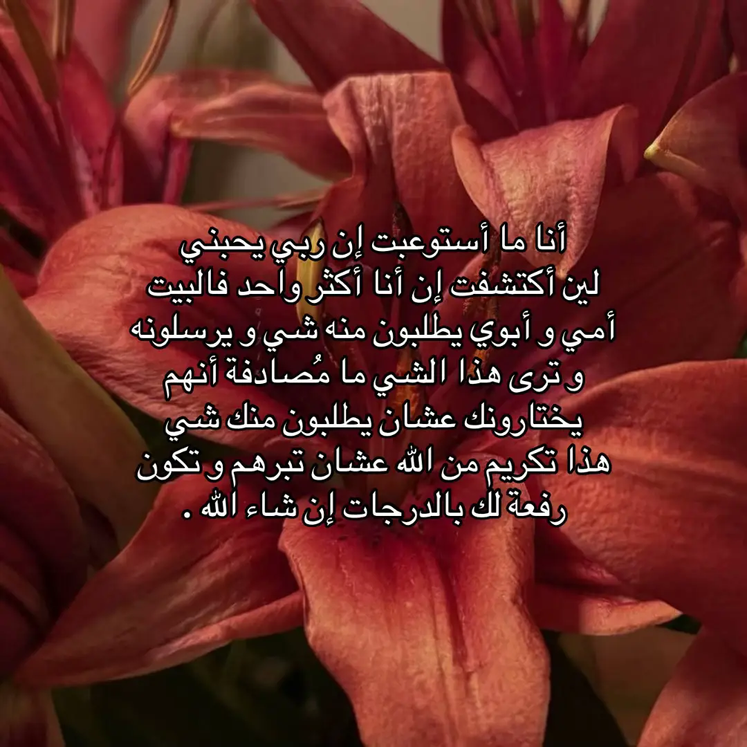 #explore #fyp #tiktok 