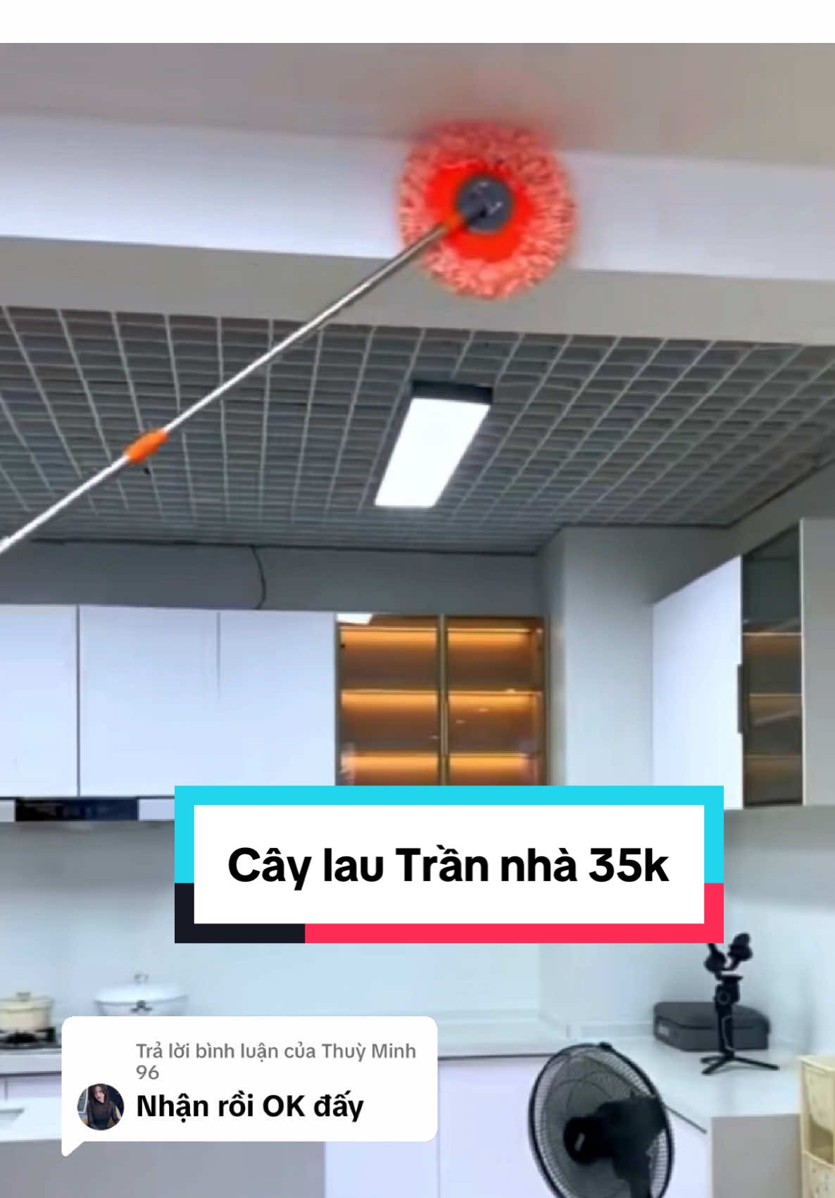 Trả lời @Thuỳ Minh 96 cây lau Trần nhà #caylautrannha #caylaunhathongminh #caylautrannharutgon 