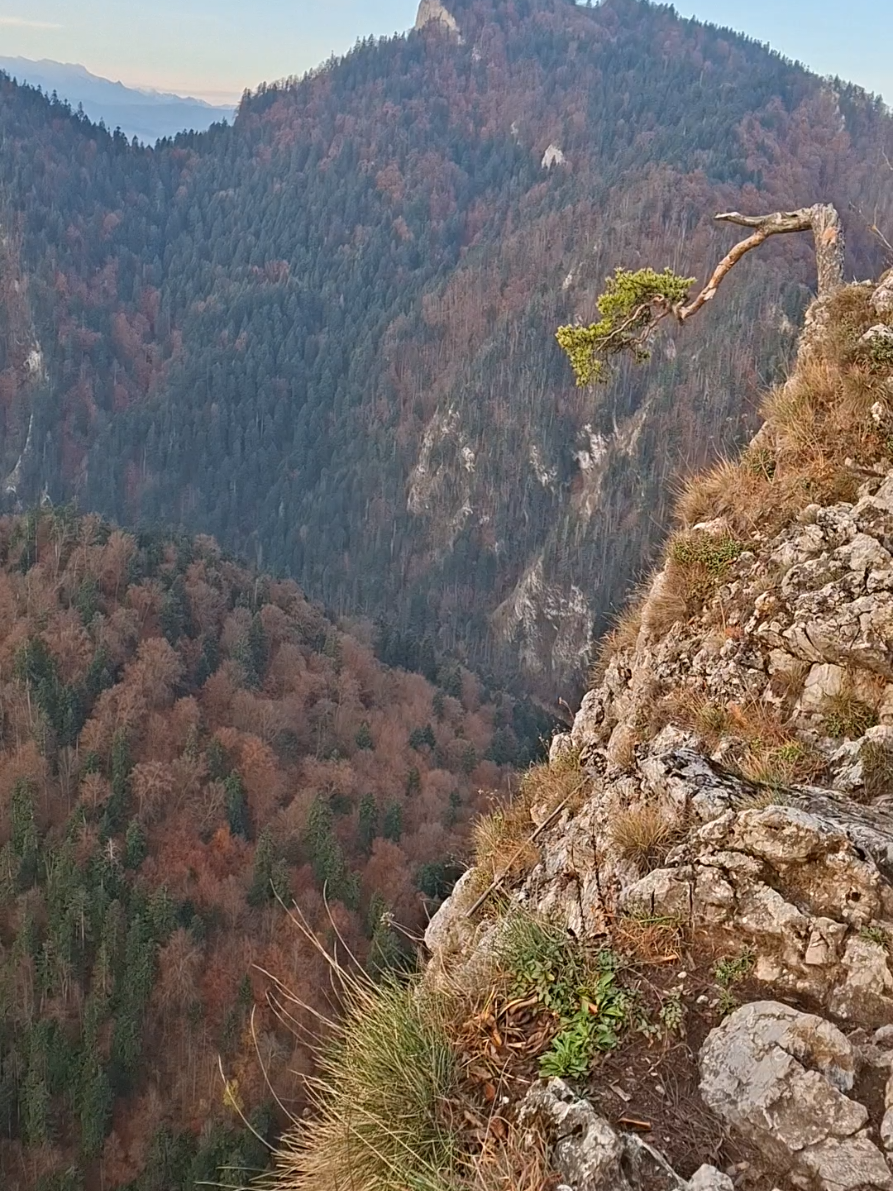 #Dzień dobry#🌞🌝🌞 #☕️☕️☕️ 