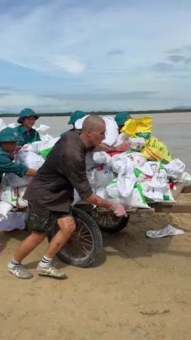 Việt Nam cảm ơn🌻