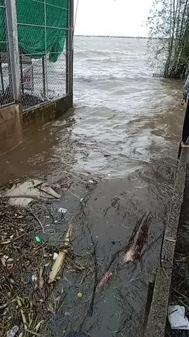 #yêu lắm miền Trung Quê mình 🥰🥰🥰