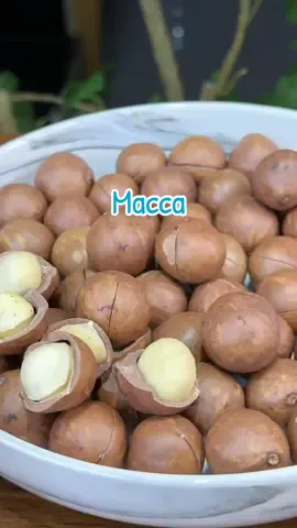 Macca size trung nhà mẹ Rô #hatmacca #maccamero #hatmaccasay #diemthuyriviu #xuhuong  