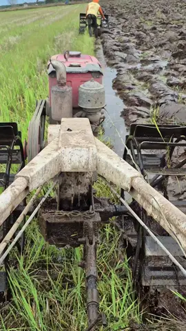 serrr🏄#traktorsawah #petanimuda #petaniindonesia🇮🇩🇮🇩🇮🇩🌿🌿 