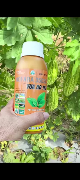 VUABO TR! Chế Phẩm NOFARA 35 trị côn trùng#nongnghiep #cayanqua #nongdan 