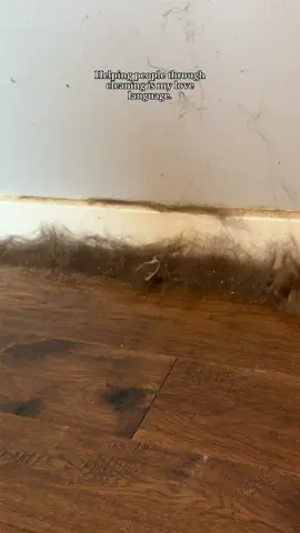 I clean for people. Period. 💖 #cleaning #doghair #sharkvacuum #zepwallcleaner #CleanTok 