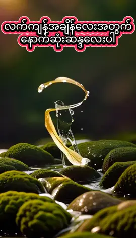 #ခံစားချက်ချင်းတူရင်cmရေးခဲ့😇 #တိုက်ဆိုင်မှုရှိရင်ခွင့်လွှတ်ပါ #creatorpilotprogram #creatorsearchinsights #feelings 