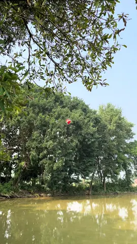 Bat karni hai😭💔 #mightyankit #part49 #foryoupage #birgunjmuser #nightview 