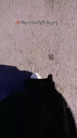 امشي والمكتوب يركض وراك🤎🥺