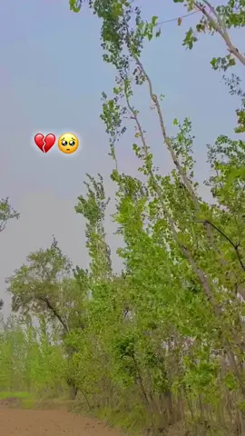 Da baran musam da yaranooo🌨️🥺💔🕊️💔🍀🥀🌿🌸☘️🍃🌱🍁🍂#100k #for #you #palz #💔🥺🕊️🥰🥀🍂🍁👀🤍🦋🌸 
