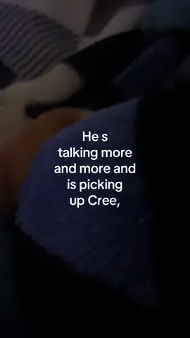 Had to share a video Echo caught with my grandson Willow. He s 5 year old and doesn’t know what he says , only is repeating what he hears. He hears dagay somewhere. Lol. #creeteacher#creelangauge#nativetiktok#IndigenousTikTok#fyp