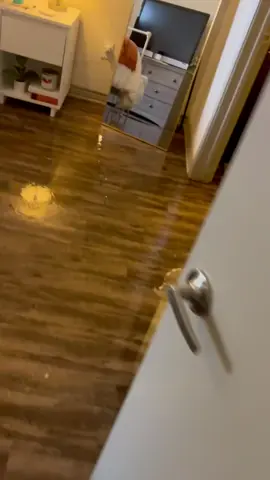 LEAKING ROOF VÍDEO PROOF #Archiversdiary #fypシ゚ 