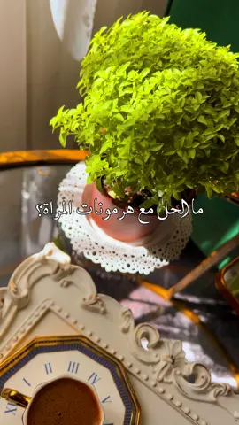 صباحو 😹🙋🏻‍♀️