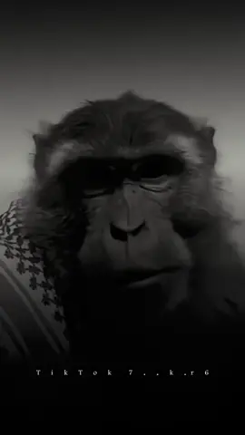 #تصمبم_فيدهات🎶🎤🎬 #fypシ゚viral🖤ok☆♡🦋 