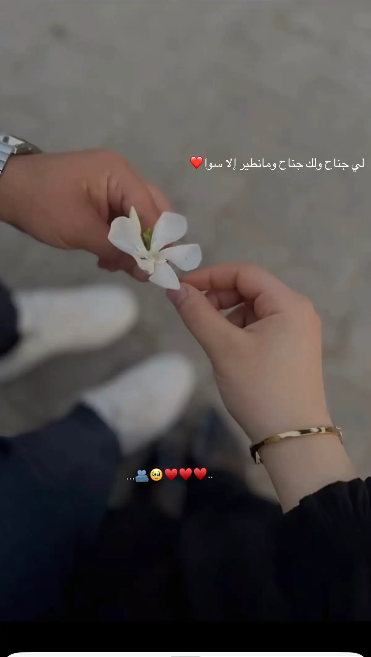 #لك_جناح_ولي_جناح_وما_نطير_اللي_سوا🦋 