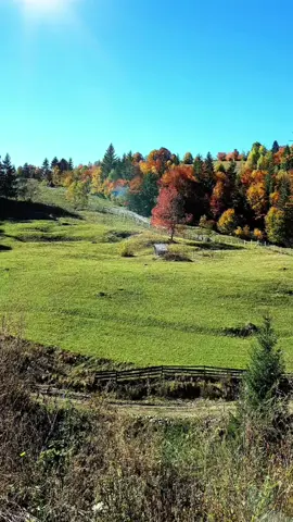 Happy Tuesday! May your coffee be strong and your coworkers be quiet... #goodmorning #inspiration #MentalHealth #motivation #itsokaytonotbeokay 