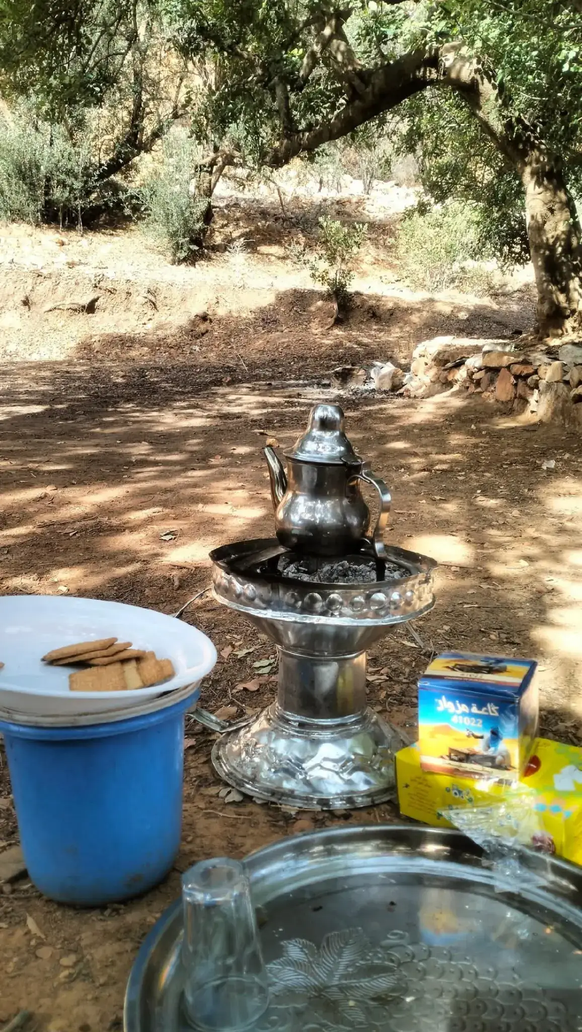 #LIVECareer #magiefondvert #LIVEIncentiveProgram #fouryoupage #creatorsearchinsights 