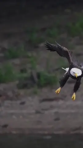 Assalamualaikum  #fyppppppシ゚❤️  