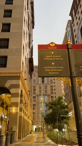 من ضجيج الحياة الى هدوء الروح❣️. #المدينه_المنوره #المسجد_النبوي #المدينة #عشوائيات 
