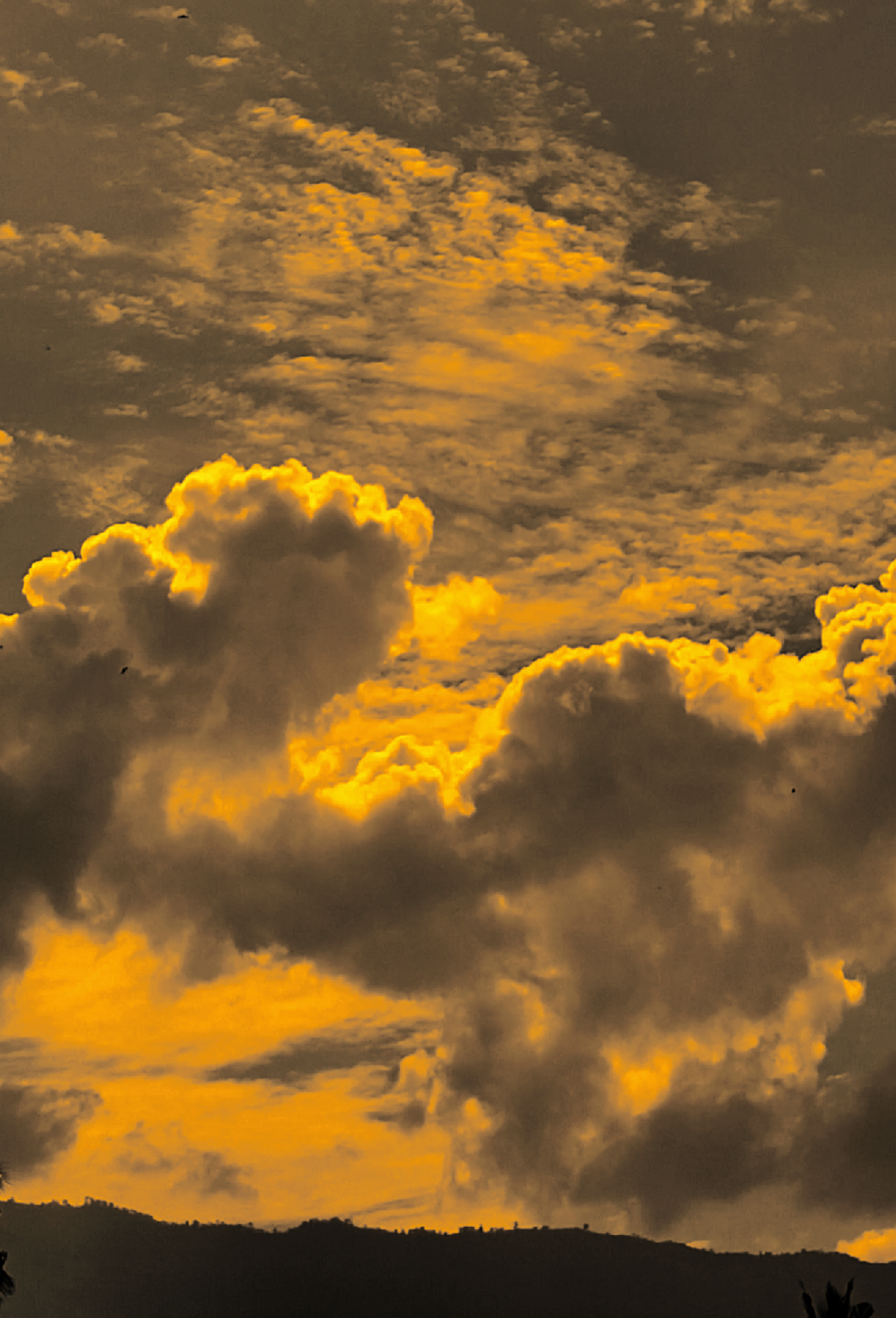 أُوْلِيْفِيَا:أحببتُبهدوء، ثم خاب أملي بصمت “aku mencintai dengan tenang, lalu kecewa dengan diam.” #arabicsong #arabicsad #arabicquotes #bismillahfyp #fyppppppppppppppppppppppp 