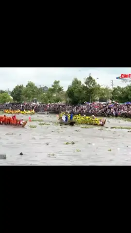 dommompil ăn 1#ghechuadommompil #chuadommompil🐘 #xuhuong 