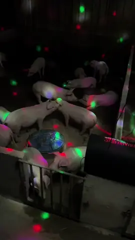 Như này đã ấm cúng hơn chưa ạ