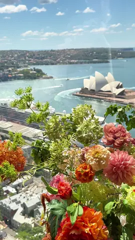 Spring has sprung.   Immerse yourself in a floral fantasy at Blu Bar on 36.   #shangrilasydney #sydneyoperahouse #sydneyharbourbridge #cocktailbar #spring