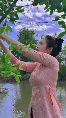 Đi hái bần cũng vui lắm ạ #mientay 