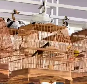 #xuhuongtiktok2025💝💝 