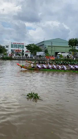 Hai con rồng xanh 🐉🐉 chạy dài thân ghe của 2 đội Bình Phú ( Càng Long) và Cầu Kè .quá đáng tiếc cho Cầu Kè đã thua sít xao với Bình Phú.