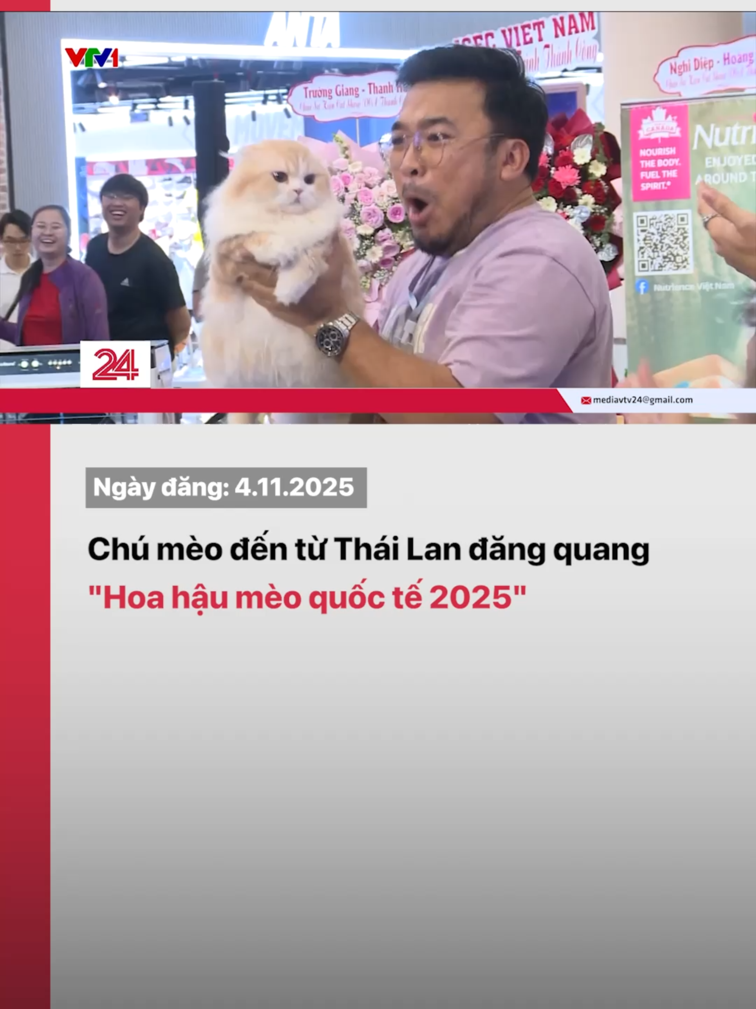 Vượt qua 120 đối thủ từ nhiều quốc gia sau 2 ngày thi gay cấn tại TP. Hồ Chí Minh, mèo Anh lông dài đến từ Thái Lan đăng quang 