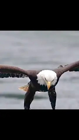 រាប់បានរាប់ រាប់មិនបានអត់ #fyp #vairal #vairal_video #vairal_video_tiktok #2025tiktok 