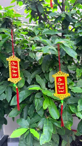 Combo 10 Dây Liễng câu chúc mix chữ ##emkieutaphoa##dayliengtreotet##trangtritet2026##trangtritet