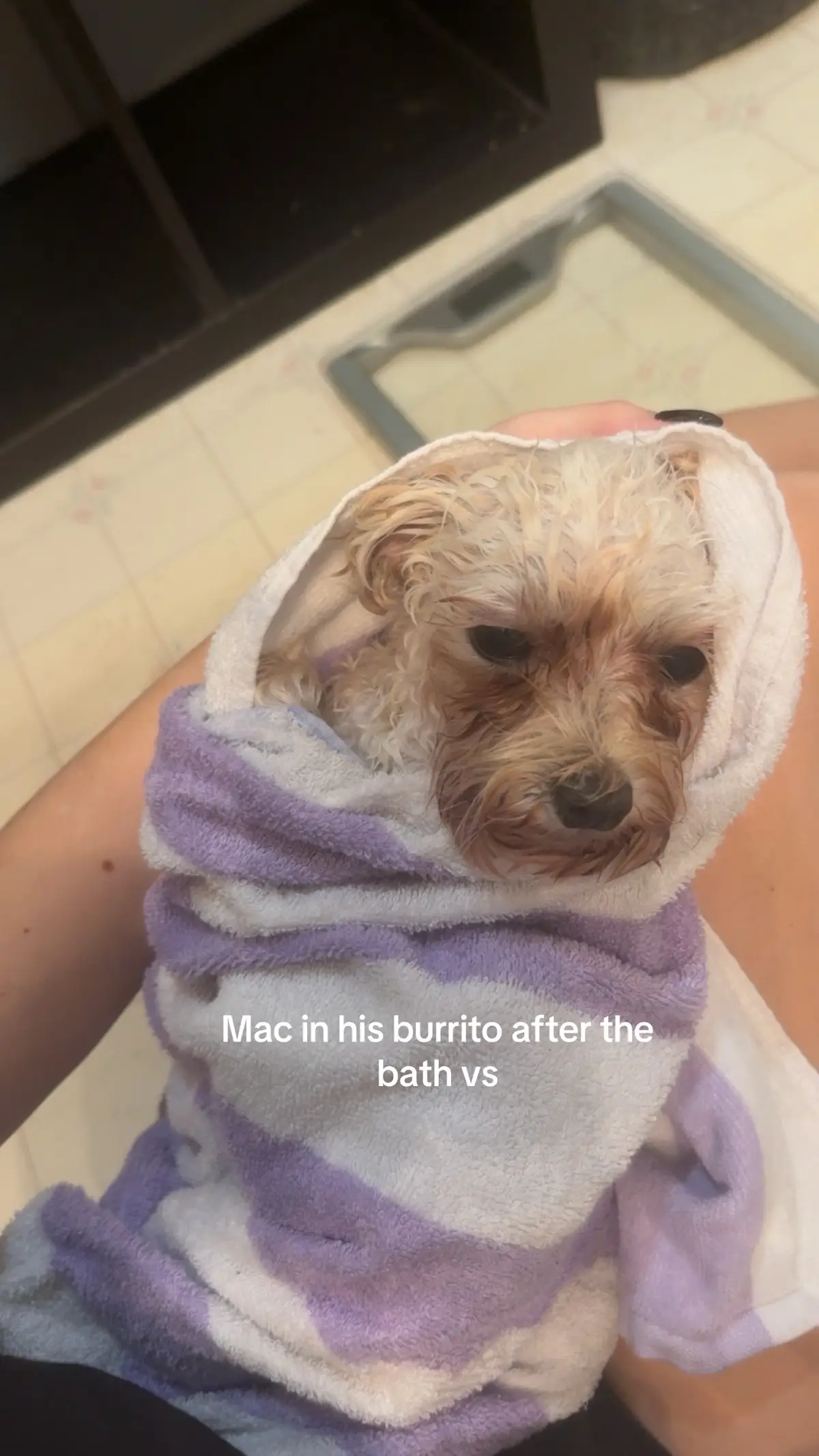 I had no idea it looks like dog shampoo 😂