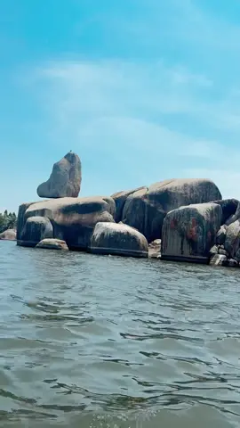 Natoa pole kwa watu wangu wa Mwanza (kiseke, nyamhongoro, Nyasaka, mkolani, buhongwa) kwa kupoteza wadogo zetu wengi mno kwenye kipindi hiki cha uchaguzi , na wa Tanzania wote wa mikoa mingine kwa ujumla kwa kupoteza ndugu zetu.. Mungu azilaze roho za wadogo zetu in internal peace 💔 #tanzania 