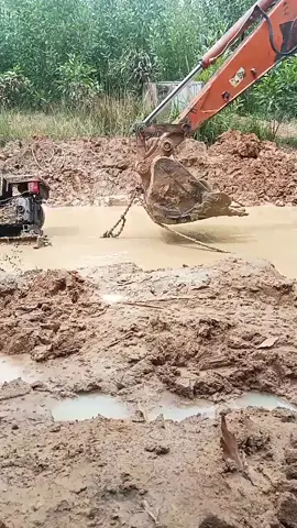 Ỉn ga lên con😂