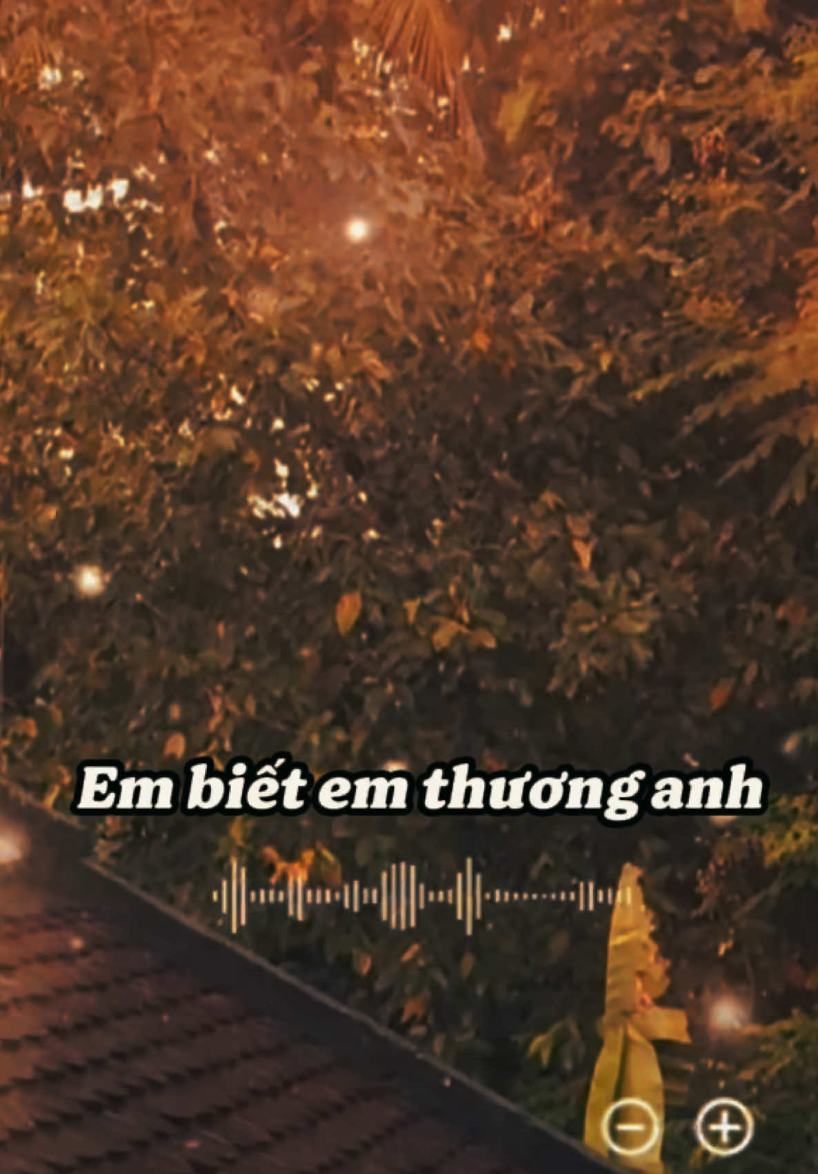 Em biết em thương Anh! Chỉ mong anh luôn hạnh phúc, bình yên như chính tên Anh!  #nhactamtrang #nhớ #thinhhanh #nhachay #stt_buồn_tâm_trạng 