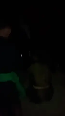 haya menguji mental mu dex 😊 #pagarnusajambi #pagarnusa86💚🔱 #pagarnusatebo #pagarnusaistimewa💚🔱 #fypシ゚ 