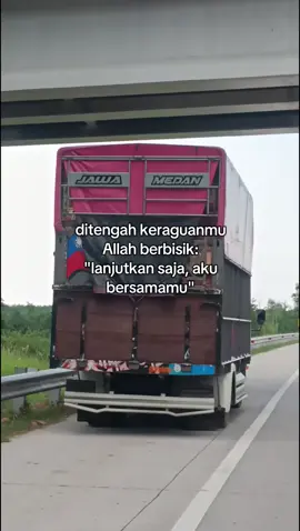 #fyp #trukmaniaindonesia 