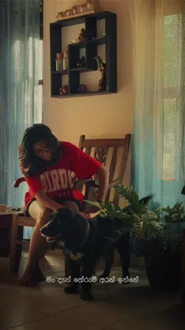 ඉතින් නිදහස කියන්නෙම අතහරින එක නෙමෙයි ද? 🍃#fyp #peace 