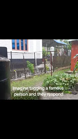 just imagine🙂 @Slim Jim @Hungry Shark @McDonald’s @Samsung @IShowSpeed @OREO @SKIN1004 US @Infinix Malaysia 