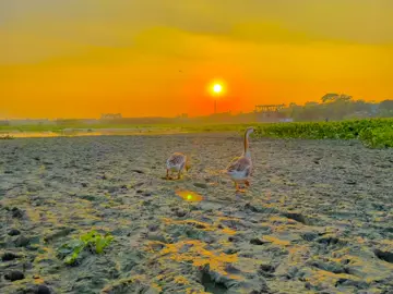 আবহাওয়ার মতো যারা বদলে যায় তাদের সাথে সম্পর্ক না রাখাই ভালো...! ❤️‍🩹✨#foryou #foryoupage #vairal #unfrezzmyaccount #foryoupageofficiall 