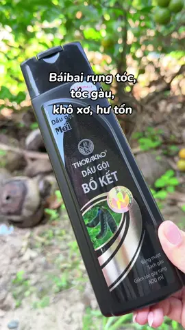Ê thử cái dầu gội bồ kết này đi mấy b, rụng tóc nó bái bai mấy b hồi nào ko hay đó nghen #daugoi #daugoiboket #thorakao 