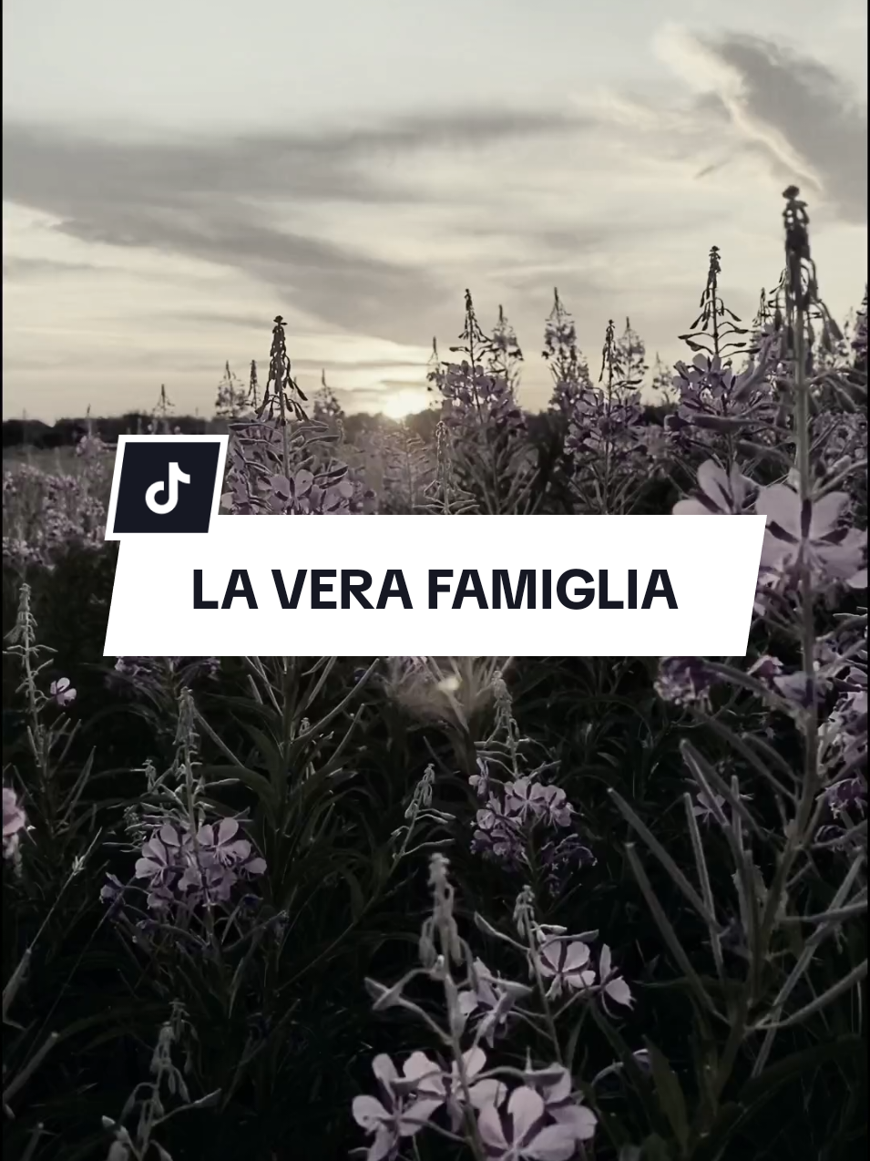 La vera famiglia #mentalità #psicologia #vita #motivazione 