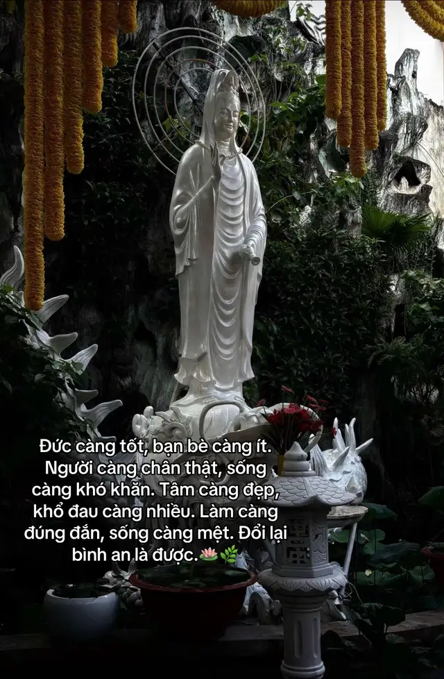 #phatphapnhiemmau #tuduong 