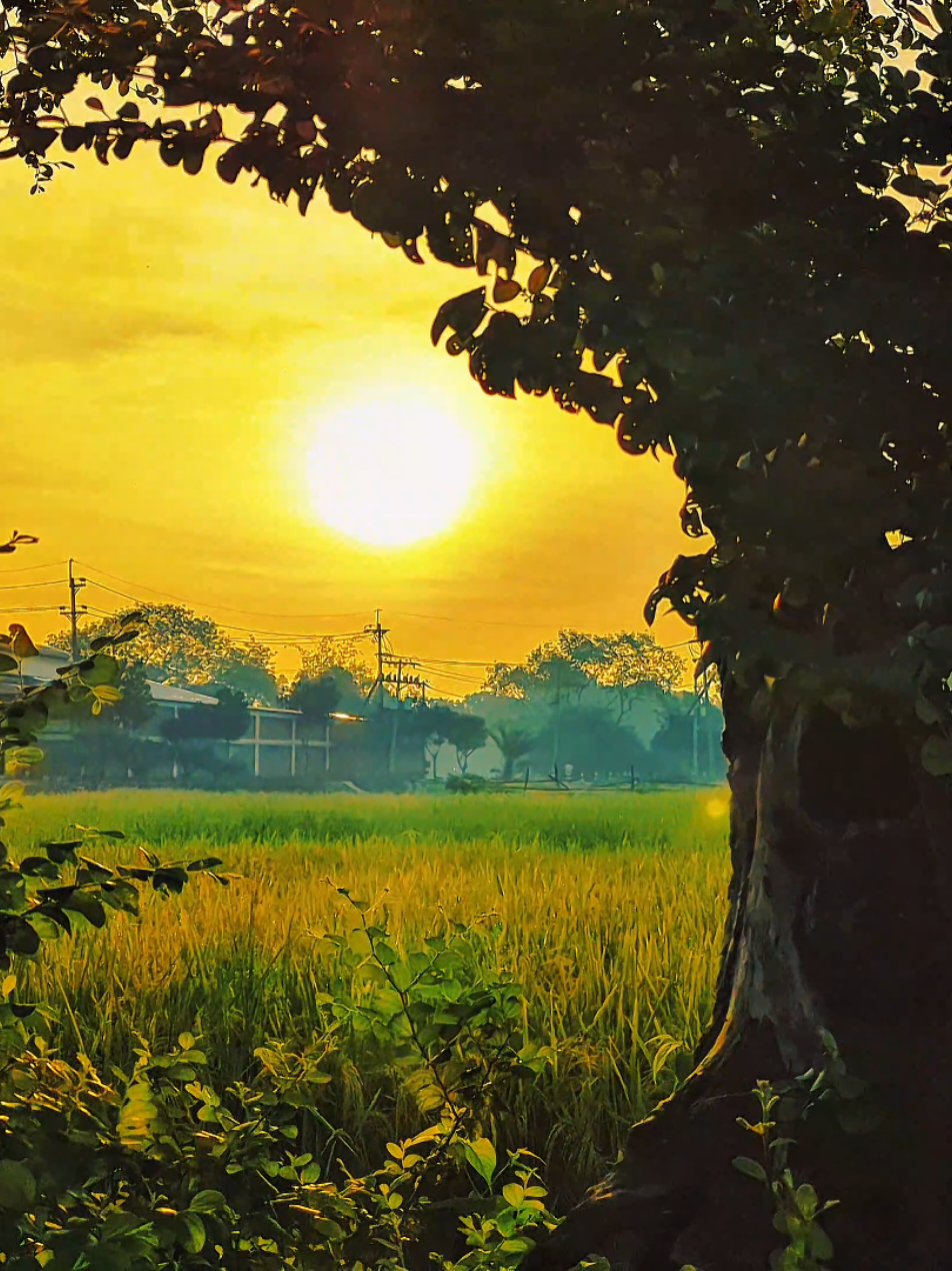 যৌবন কালের ইবাদত আল্লাহর বড্ড প্রিয়...! ☝️🥹🫀 #আনিসুর_রহমান_আশরাফী💖💖 #ইসলামিক_ভিডিও_🤲🕋🤲 #ভাইরাল_করে_দাও #ইসলামের_পথে_এসো😍 #যুবকদের_জন্য_গুরুত্বপূর্ণ_কথা 