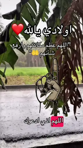 اللهم ارزق ذرتيتي خطا في الدين و الدنيا,اللهم عظم مكانتهم وارفع شأنهم ولا تجعلهم من الاشقياء🤲❤️ #دعاء #اولادي #اللهم_امين_يارب_العالمين #يارب #دعاء_يريح_القلوب 