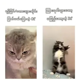 @Thinthin 😝🤪🥴#ဟာသလေးများ🤣🤣🤣 