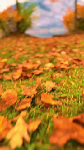 #النمسا 🇦🇹#natu #خريف #اكسبلور 🇦🇹#تصويري 📸