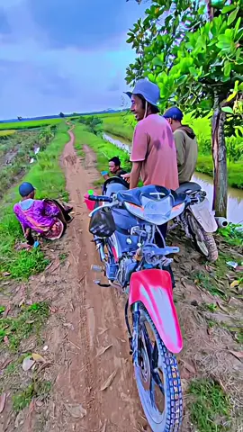 MT 3 LUBUK MAKMUR #yanmar #will_genx #yanmar70vw #sumbertani @AKTOR_PADI🌾 @srabut_GENK🌾🌾 