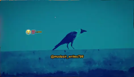 سب کو معاف کر دو اللّٰہ تمہیں معاف کر دے گا 🥺❤️‍🩹💯#foryou #foryoupage #fyp #viral #creatorsearchinsight 